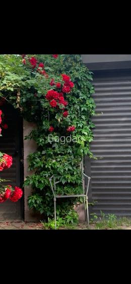 Casa/vila vanzare, zona Pescariu B. Vacarescu - 4