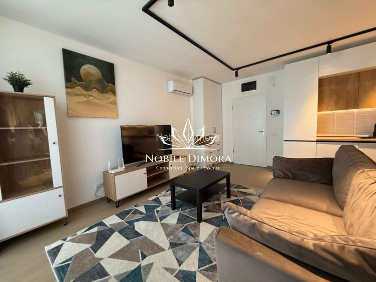 Apartament deosebit cu 2 camere in Isho - vedere spre Bega - 4