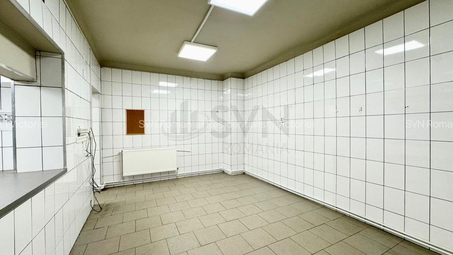 REV2004582 Spatiu pentru activitati comerciale I Laborator - Spatiu productie I - 7