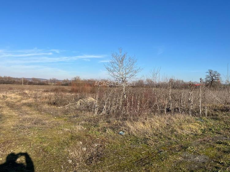 Teren intravilan, Săcădat, 27 921 mp. 9,5 Euro/mp. Comision 0. - 3