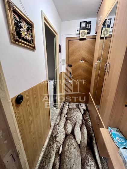 Apartament 2 camere, semidecomandat, petfriendly, Dacia, Timisoara - 3