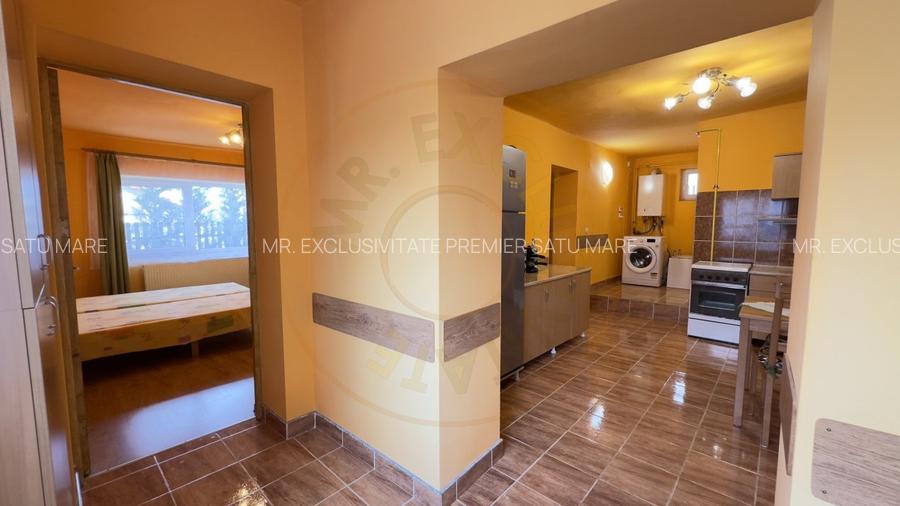 Oportunitate de investitie - Pensiune in statiunea Tasnad, jud. Satu Mare - 10