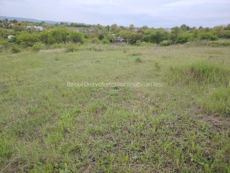 Teren intravilan de vânzare – Ciurbești, vedere la lac - 3