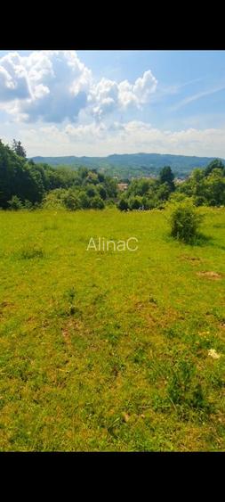7600 mp intravilan Grui - 5