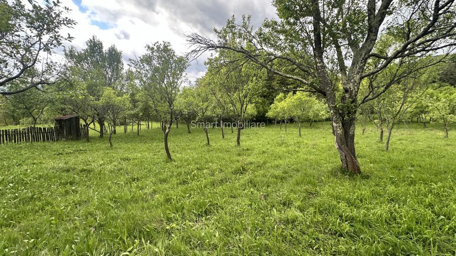 Teren intravilan 3102mp zona Racovita-Blanoiu - 3