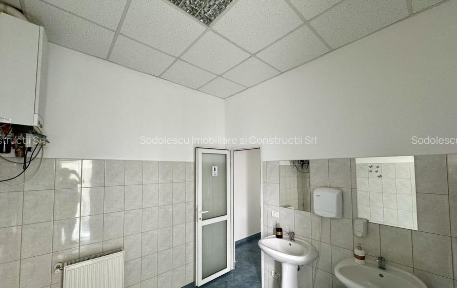 Clădire SAD de închiriat, situată la intrarea în Dumbrăvița - 22