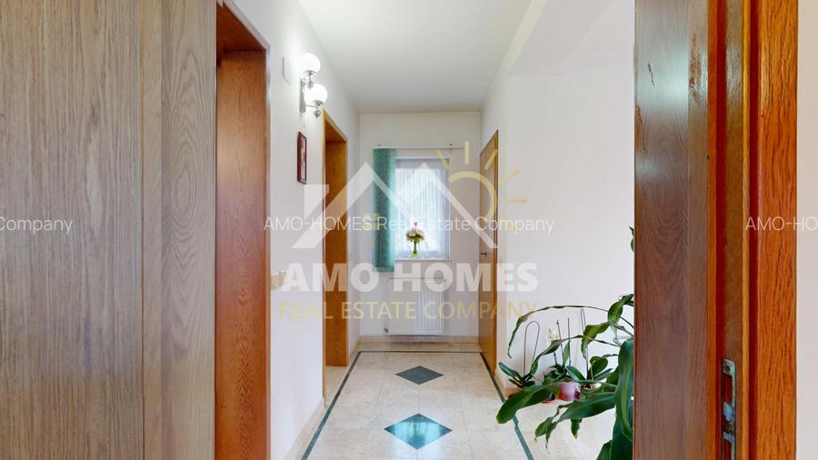 Vila unde diminețile încep cu liniște, nu cu trafic – Iancu Nicolae - 14