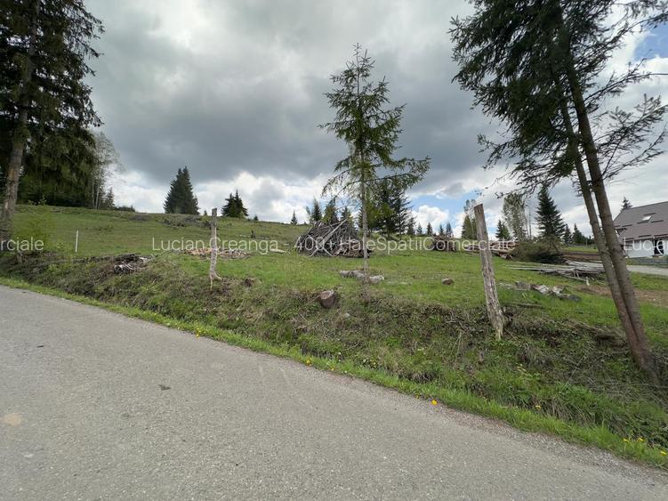 Teren la asfalt si priveliste frumoasa, 1000mp, Neagra Sarului - 3