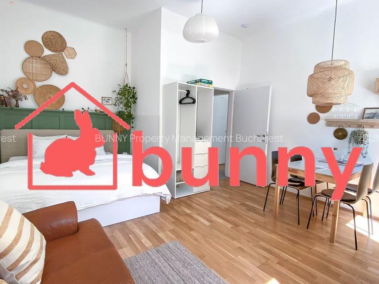 COZY STUDIO ARMENEASCA - 5