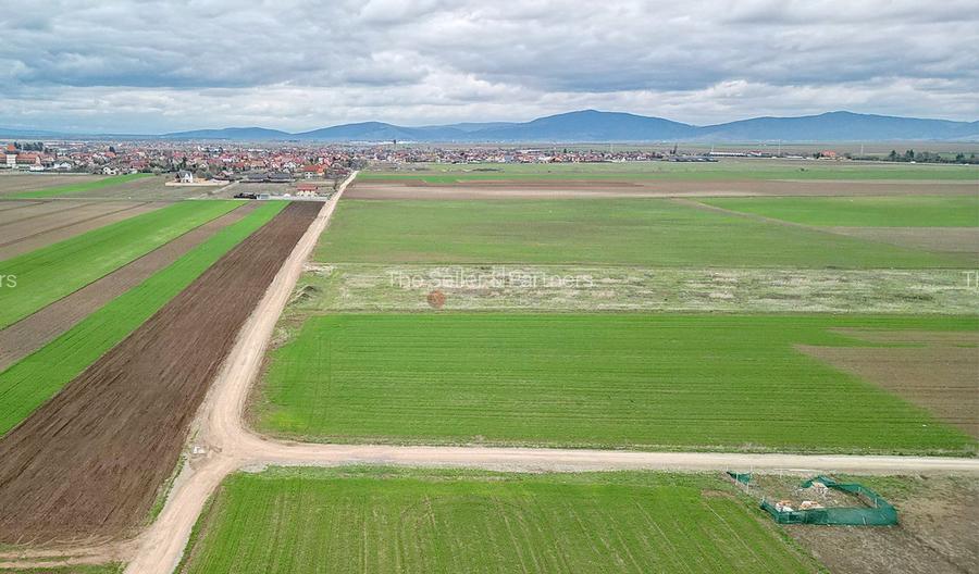 Teren intravilan - 5