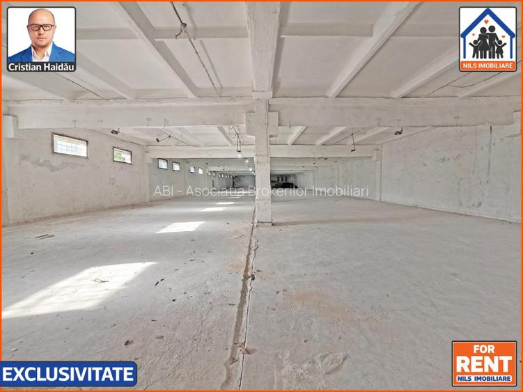 Hale de inchiriat in 1 Decembrie Ilfov | NILS Imobiliare - 7