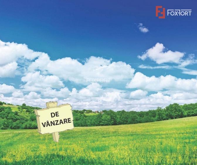 Teren extravilan de vanzare, 41100 mp, Timisoara - ID V3582 - 2