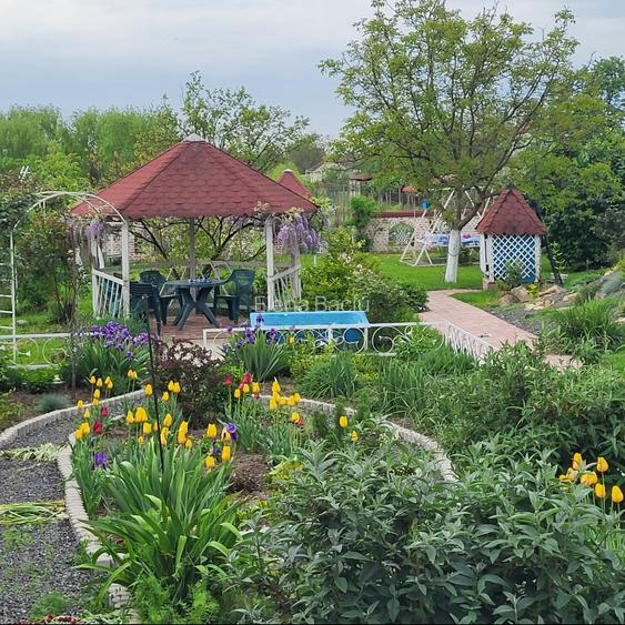 Proprietar - Casă spațioasă în centrul comunei Giarmata - 4