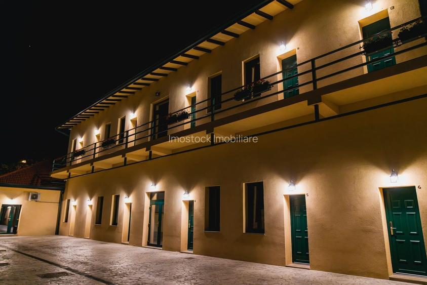 Business la cheie - Proprietate tip pensiune cu rating 9,8/10 Booking - 11