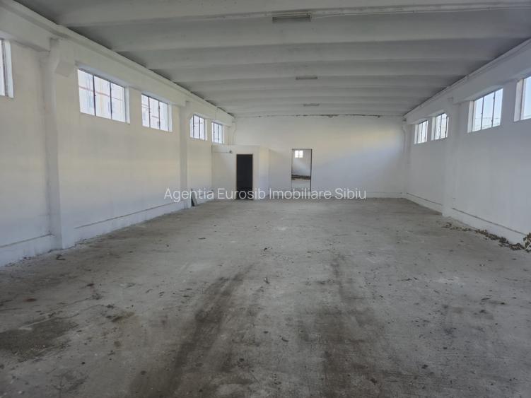 Hala in Sibiu loc Avrig Marsa - 3