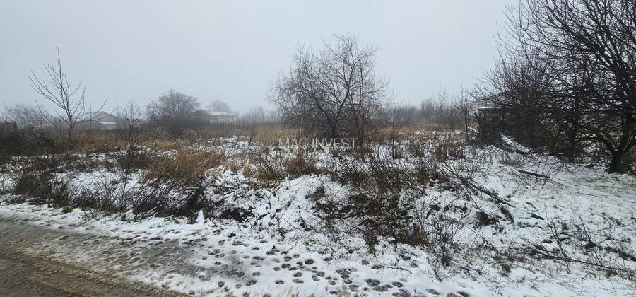 Exclusivitate MAG Invest – Teren 2300 mp Vanatori, ideal investitie - 7