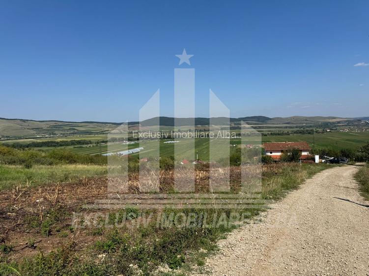 Teren intravilan | De vanzare | 1400 mp | Micesti - 4