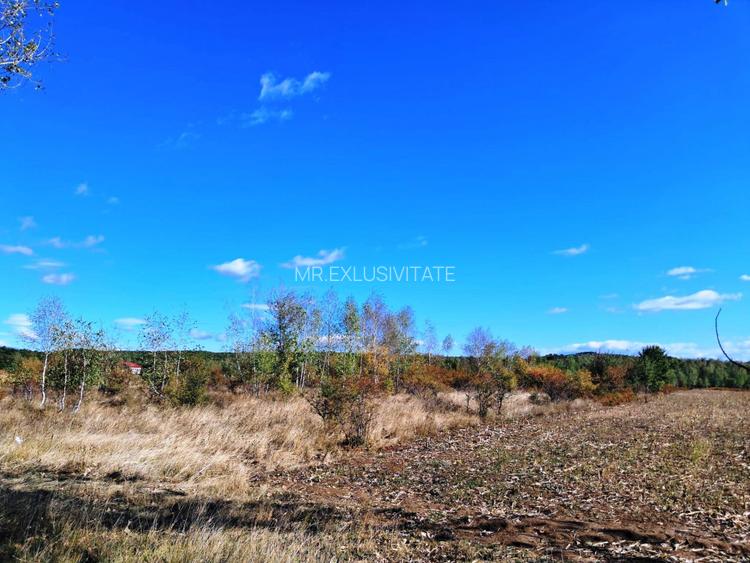 TEREN INTRAVILAN ȘI EXTRAVILAN BAIA DE FIER - 5