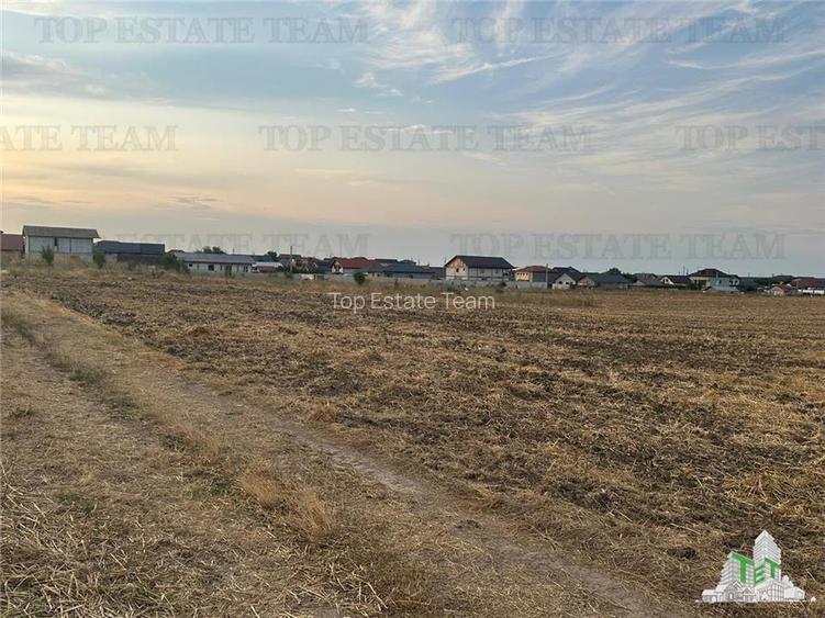 TEREN 2500MP BALACEANCA - 4