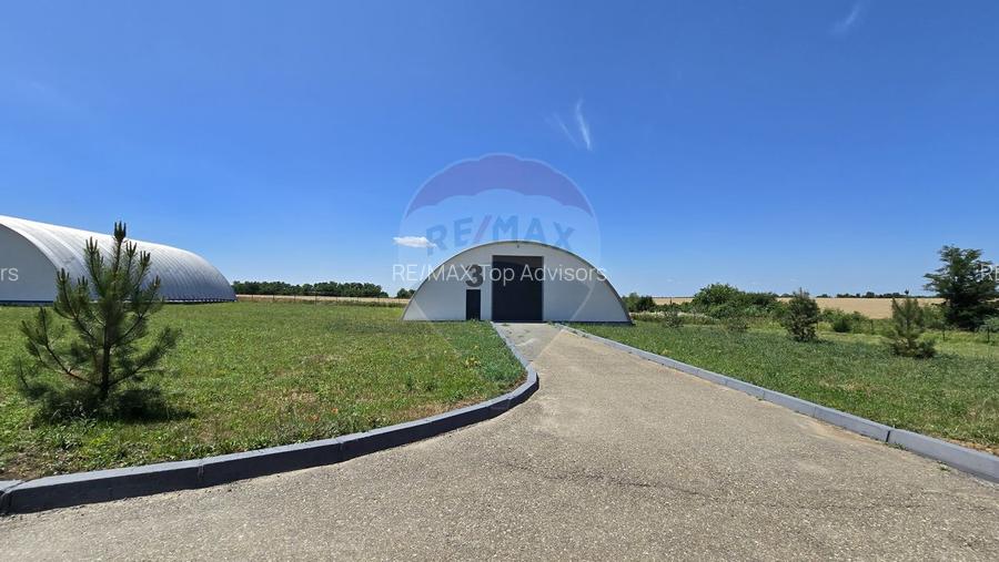 DE VANZARE | Hale | 1407mp | Teren 9344 | Potigrafu - 15