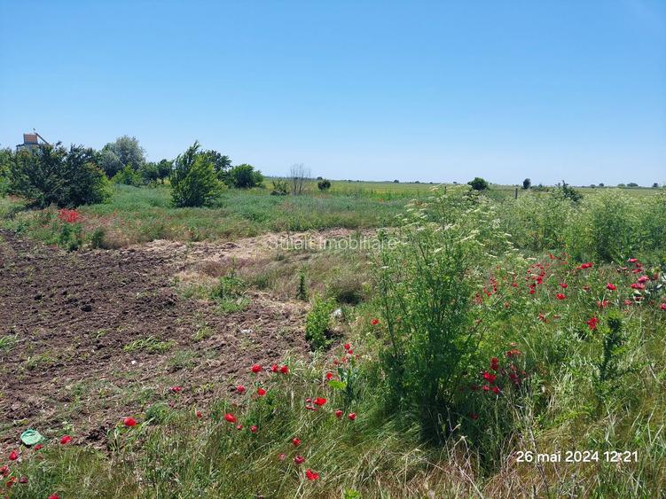 Teren intravilan 1244 mp/ Vama Veche - 2