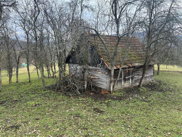Teren intravilan si extravilan Luncoiu de Jos - 15