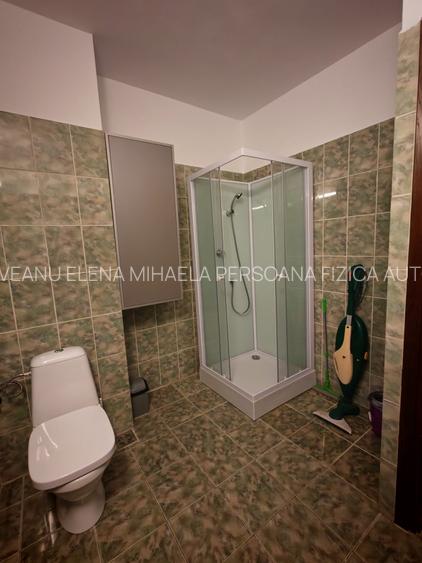 De inchiriat! 2camere, Tatarasi/Green Park - 9