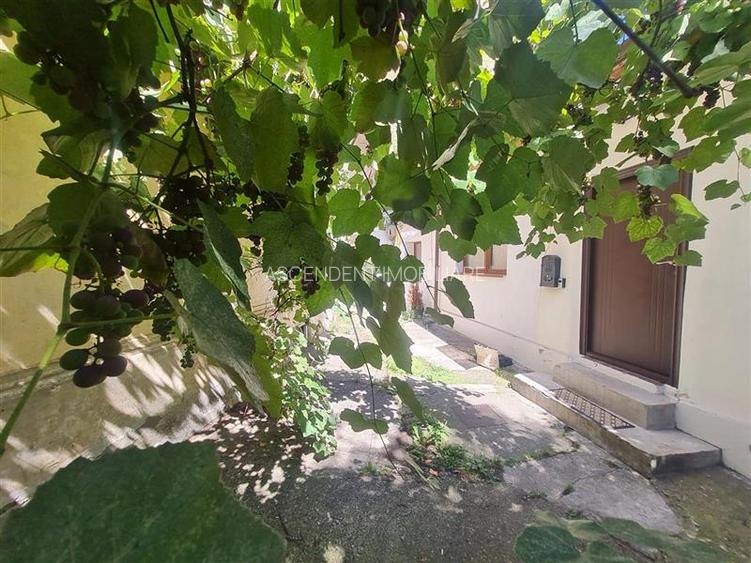 Apartament in casa, Vintage Style, curte, Centrul Istoric Brasov - 13