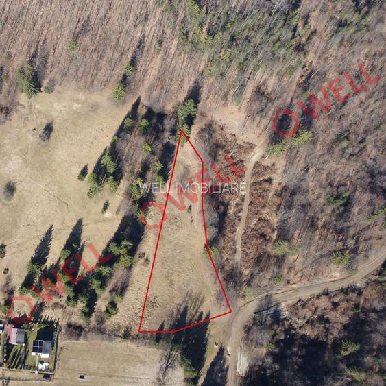 Teren extravilan de vânzare în Covasna! - 3