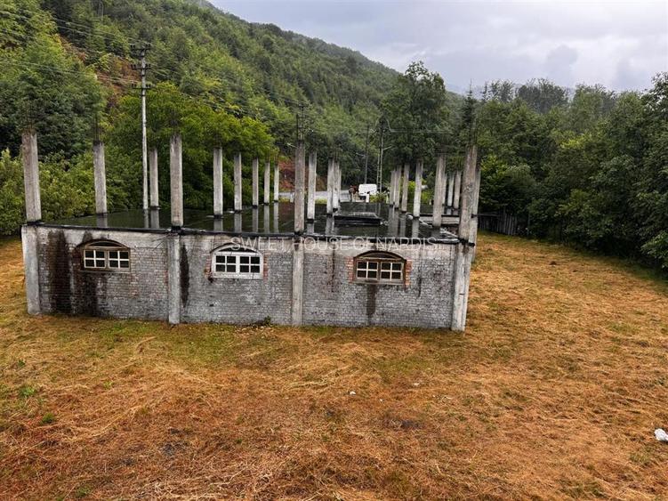 Oportunitate de investitie Cabana Cartisoara Zona Turistica - 11