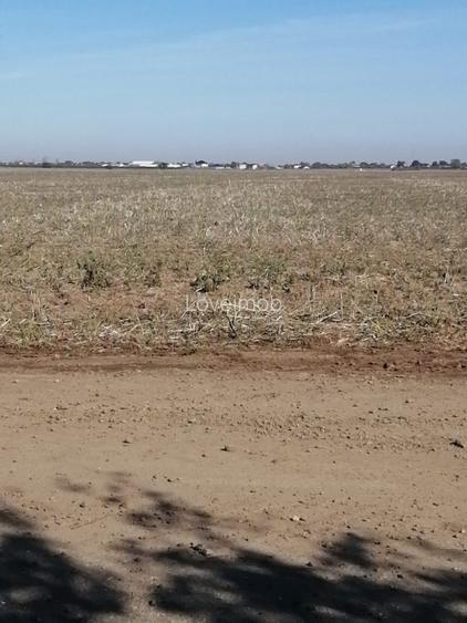 Teren Adunatii Copaceni - 2