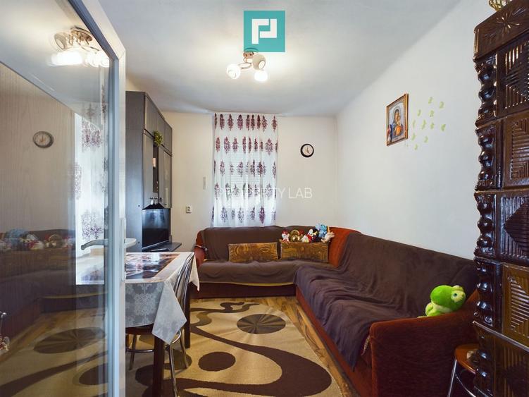 Casă ideală pentru o familie numeroasă, Sântana - 10