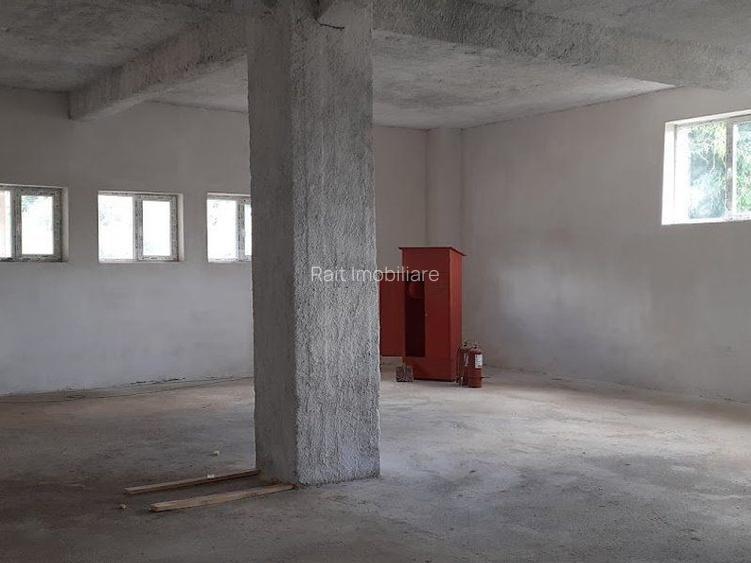 Hala de Inchiriat Godeni Arges - 18