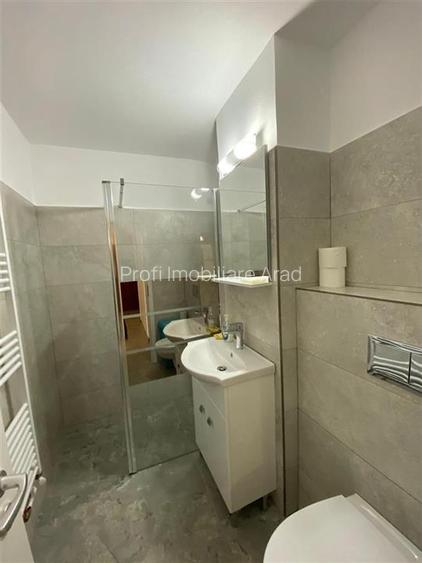 Apartament de inchiriat 2 camere  Podgoria-Malul Muresului - 13