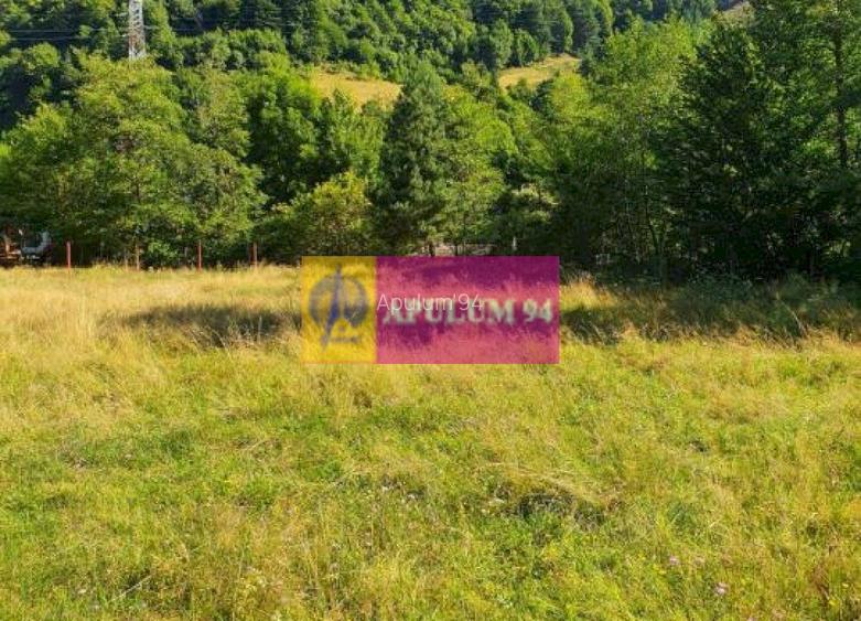 Teren Județul Vâlcea - Brezoi, Valea lui Stan - 28