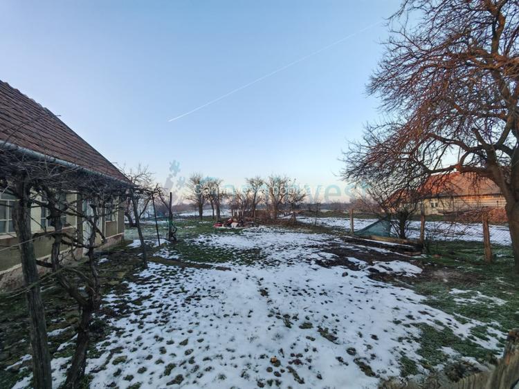 Teren intravilan pentru dezvoltare imobiliara, Les, Bihor 5064mp - 2