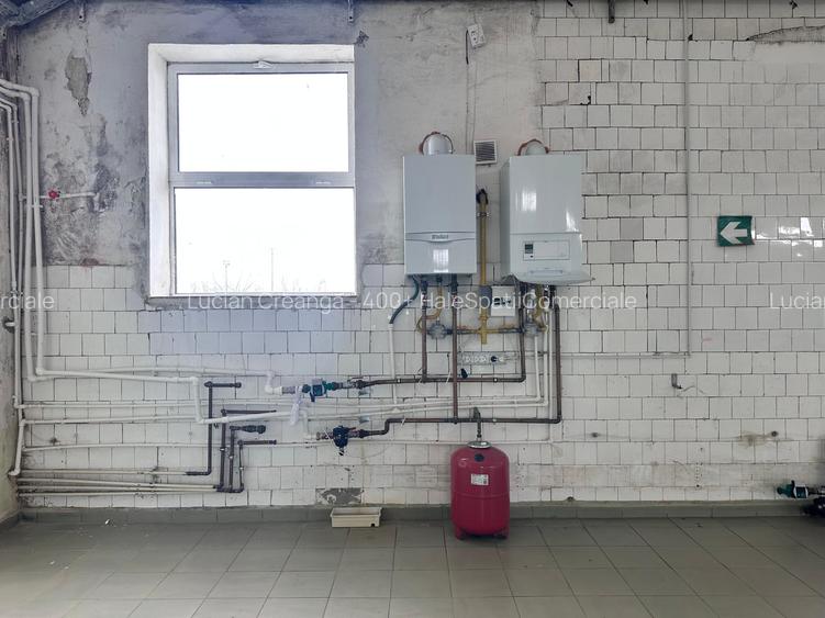 Hale/ spatii de inchiriat in jud. Iasi, Pascani, de la 500mp la 5000mp - 17