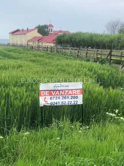 Teren 17.000mp Costinesti - zona Manastire - 100 euro/mp (Cod E2) - 3