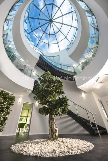 Tunari - Depozit și birouri de v&acirc;nzare - 11