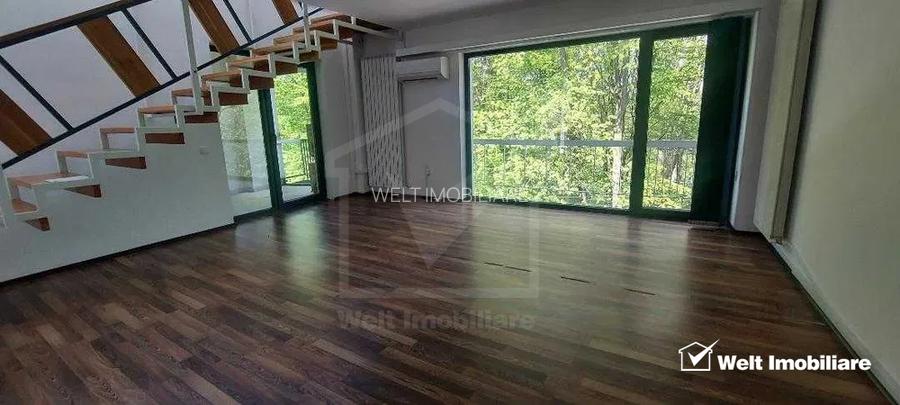 Spatiu birouri langa Gradina Botanica - 3