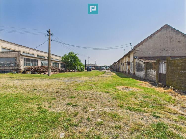 Complex industrial cu hale și teren  în Orțișoara - 31