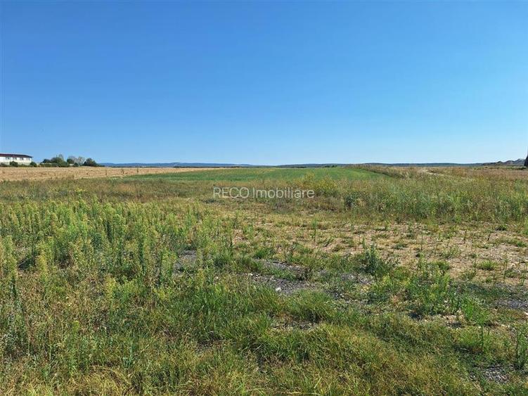 Reco, Teren intravilan Osorhei - 3