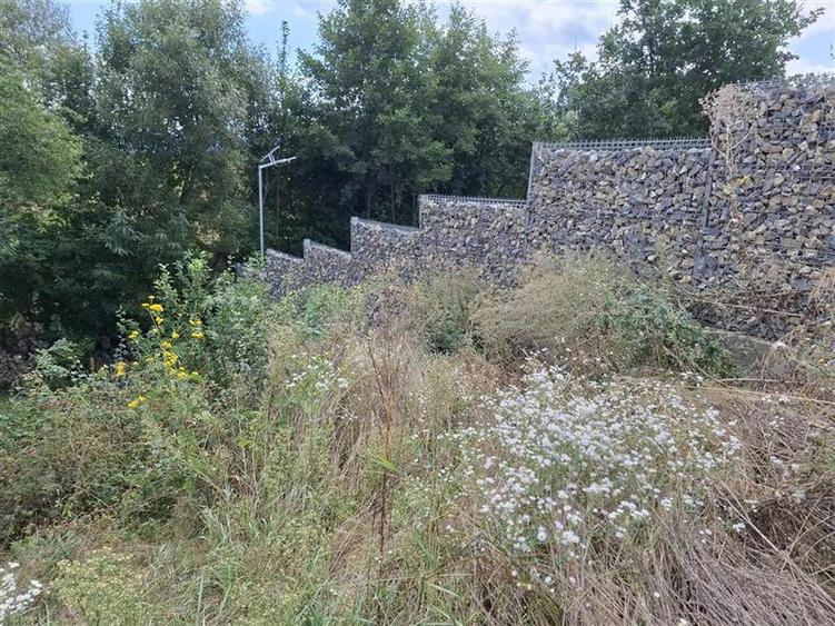 Teren imprejmuit+ proiect casa + autorizatie constructie,1.261 mp,