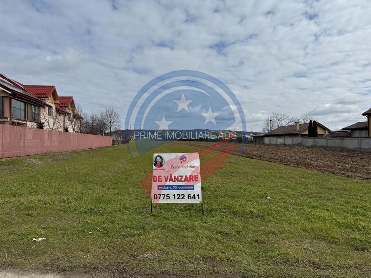 Teren de vanzare/Dudovicesti/Dolj - 2