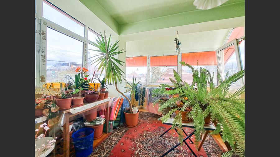 Comision 0%! Casa individuala, teren 994 mp, zona Calea Dumbravii - 31