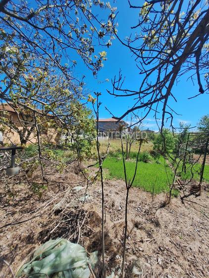 Oportunitate! Techirghiol, teren 923 mp., ideal constructie, investitie! - 7