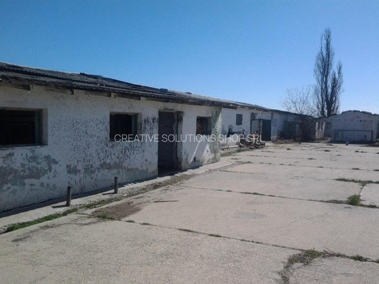 Teren intravilan Mogosesti | Giurgiu | 370.000mp | Adunatii Copaceni - 14