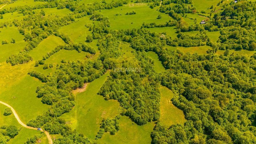Teren ideal recreere/conectare cu natura/zona Fagaras/achitare in rate - 9