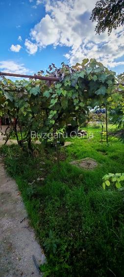 Teren vânzare zona Viile Noi - 2