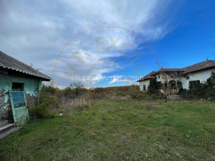 Teren intravilan 6975 mp front stradal 47.70 m in Mosoaia Arges si padure bonus - 4